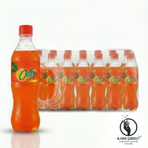 PRAN-ODY ORANGE – 250ML  24 Bottle/One Box